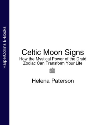 Celtic Moon Signs: How the Mystical Power of the Druid Zodiac Can Transform Your Life