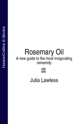 Rosemary Oil: A new guide to the most invigorating rememdy