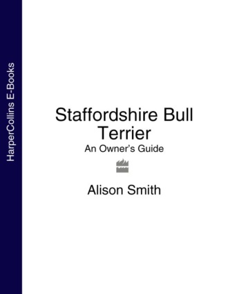 Staffordshire Bull Terrier: An Owner’s Guide