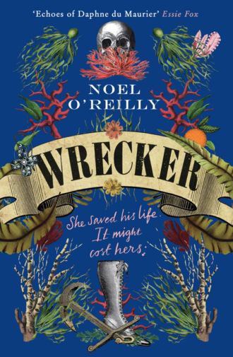 Wrecker: A gripping debut for fans of Poldark and the Essex Serpent