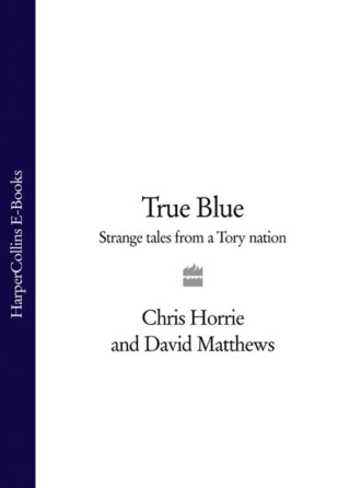 True Blue: Strange Tales from a Tory Nation