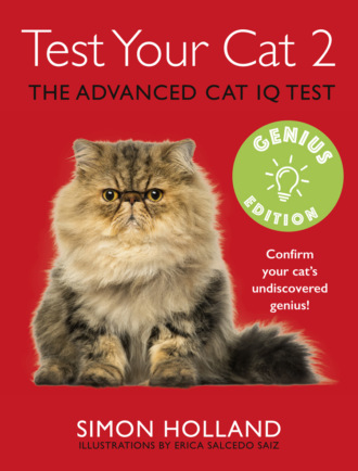 Test Your Cat 2: Genius Edition: Confirm your cat’s undiscovered genius!