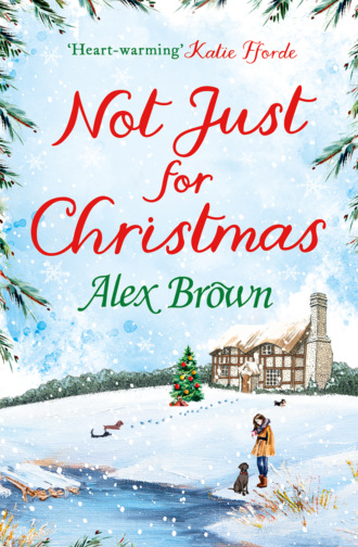 Not Just for Christmas: The perfect Christmas short romance