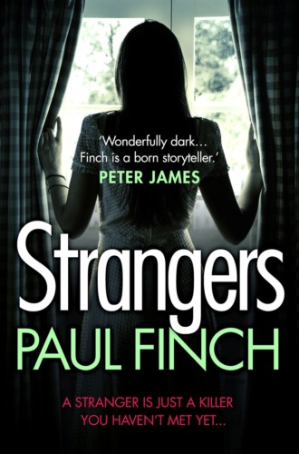 Strangers: The unforgettable crime thriller from the #1 bestseller