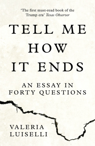 Tell Me How it Ends: An Essay in Forty Questions