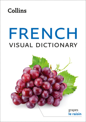 Collins French Visual Dictionary