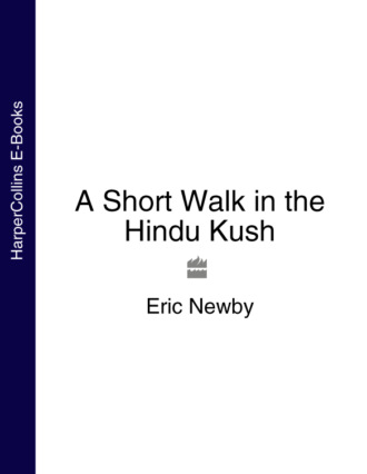 A Short Walk in the Hindu Kush