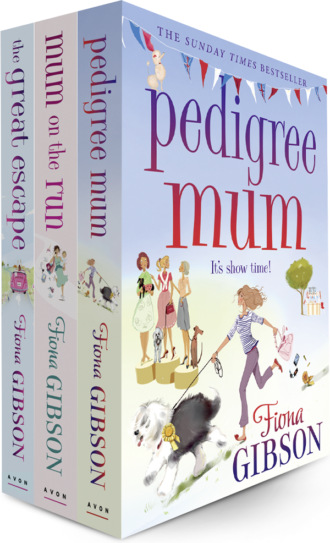 Fiona Gibson 3 Book Bundle