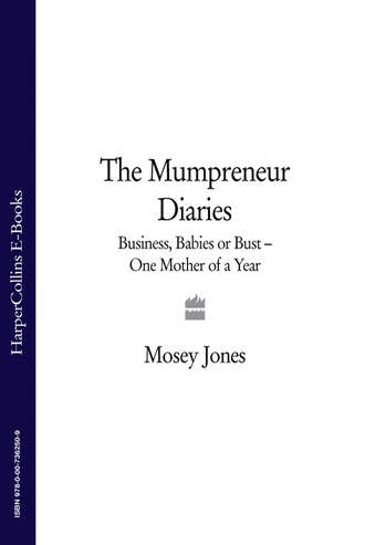 The Mumpreneur Diaries: Business, Babies or Bust - One Mother of a Year