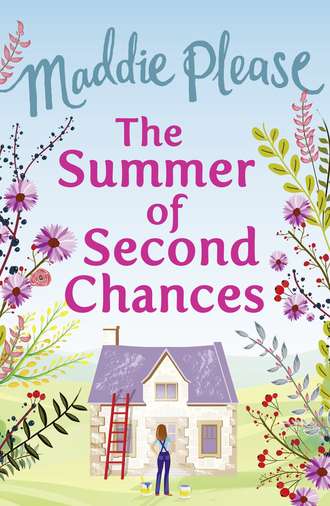 The Summer of Second Chances: The laugh-out-loud romantic comedy