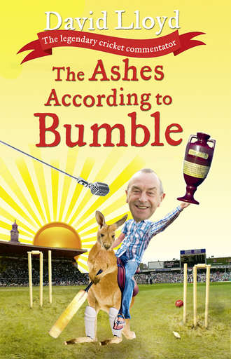 The Ashes According to Bumble