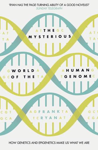 The Mysterious World of the Human Genome