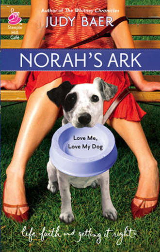 Norah's Ark