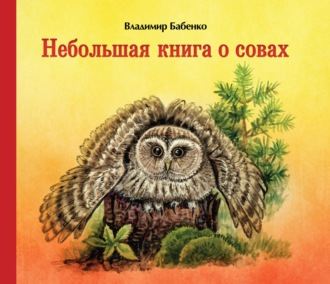 Небольшая книга о совах