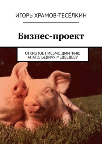 Бизнес-проект. Открытое письмо Дмитрию Анатольевичу Медведеву
