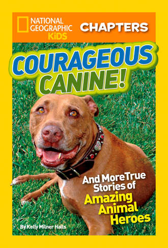 National Geographic Kids Chapters: Courageous Canine: And More True Stories of Amazing Animal Heroes