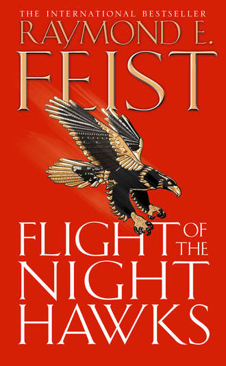 Flight of the Night Hawks