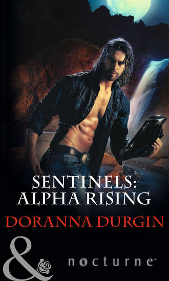 Sentinels: Alpha Rising