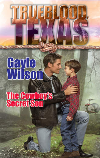 The Cowboy's Secret Son