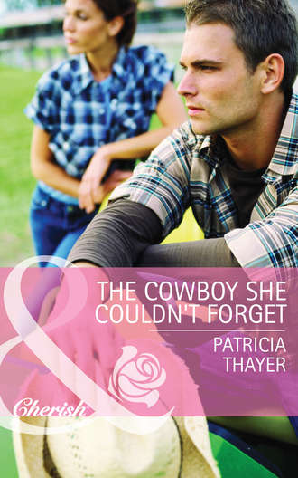 The Cowboy She Couldn't Forget