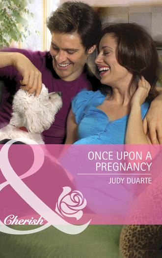 Once Upon a Pregnancy