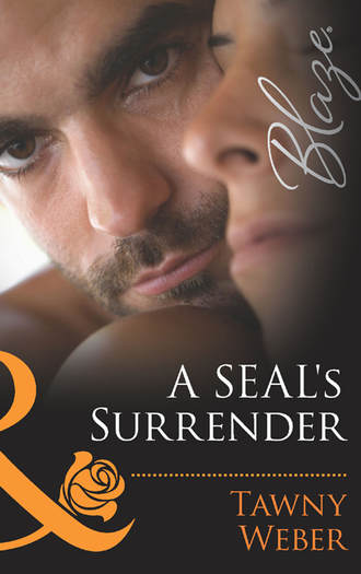 A SEAL's Surrender