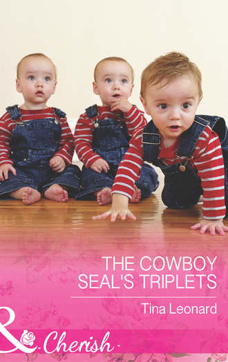 The Cowboy SEAL's Triplets