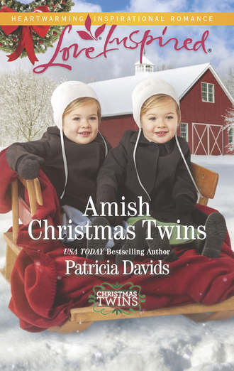 Amish Christmas Twins