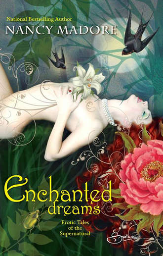 Enchanted Dreams: Erotic Tales Of The Supernatural