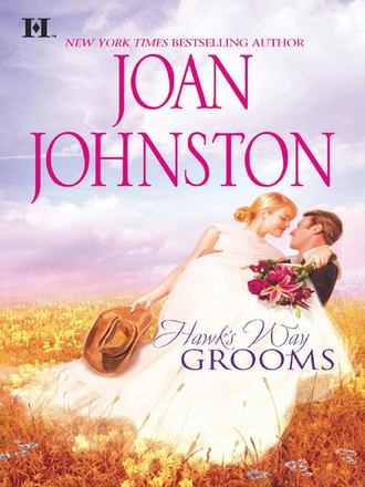 Hawk's Way Grooms: Hawk's Way: The Virgin Groom