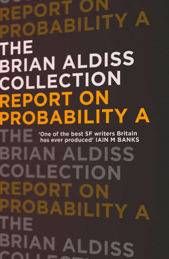 Report on Probability A