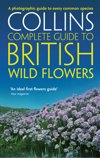 British Wild Flowers: A photographic guide to every common species