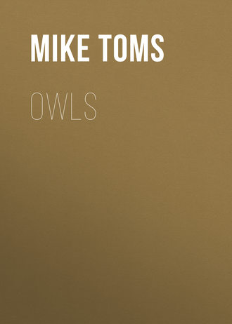Owls