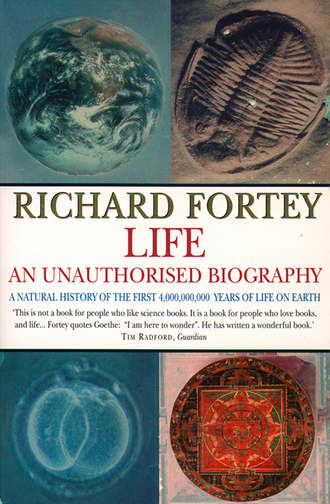 Life: an Unauthorized Biography