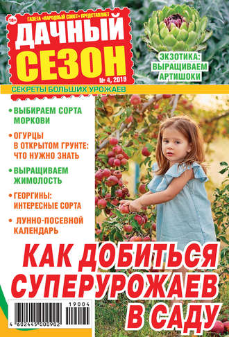 Дачный сезон №04/2019