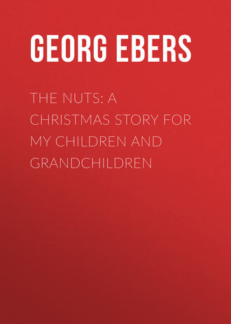 The Nuts: A Christmas Story for my Children and Grandchildren