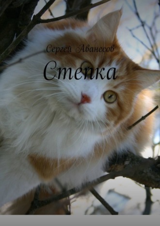 Степка
