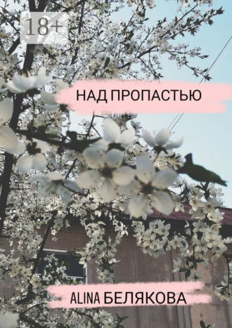 Над пропастью