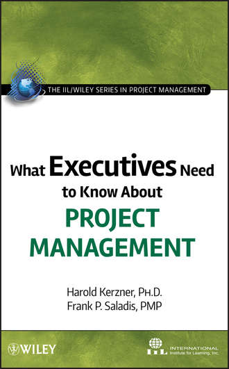 What Executives Need to Know About Project Management