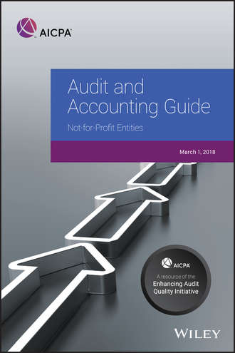 Auditing and Accounting Guide