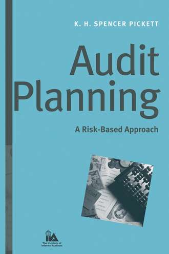 Audit Planning