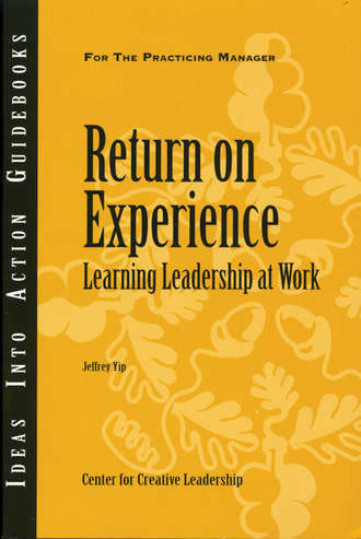 Return on Experience