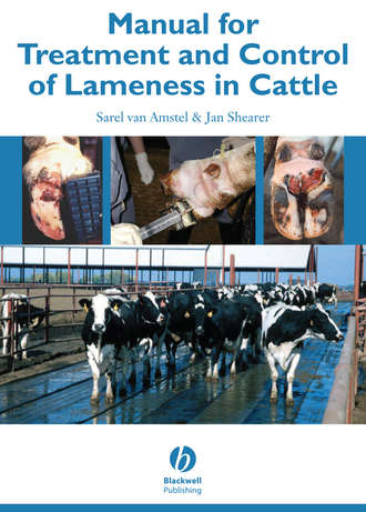 Manual for Treatment and Control of Lameness in Cattle