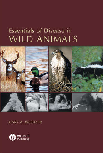 Essentials of Disease in Wild Animals