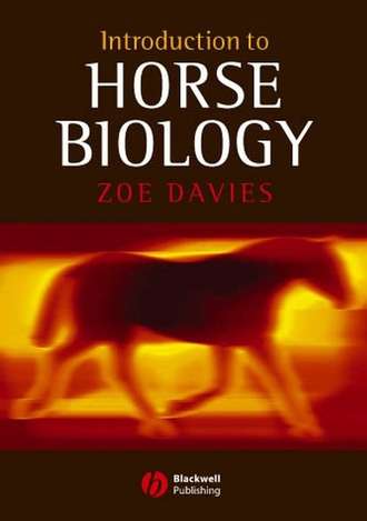 Introduction to Horse Biology