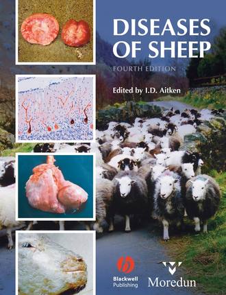 Diseases of Sheep