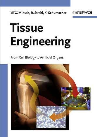 Tissue Engineering