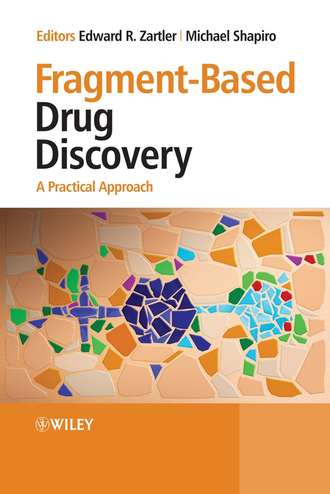 Fragment-Based Drug Discovery