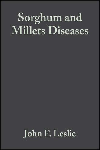 Sorghum and Millets Diseases