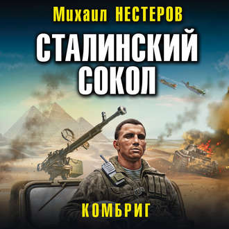 Сталинский сокол. Комбриг